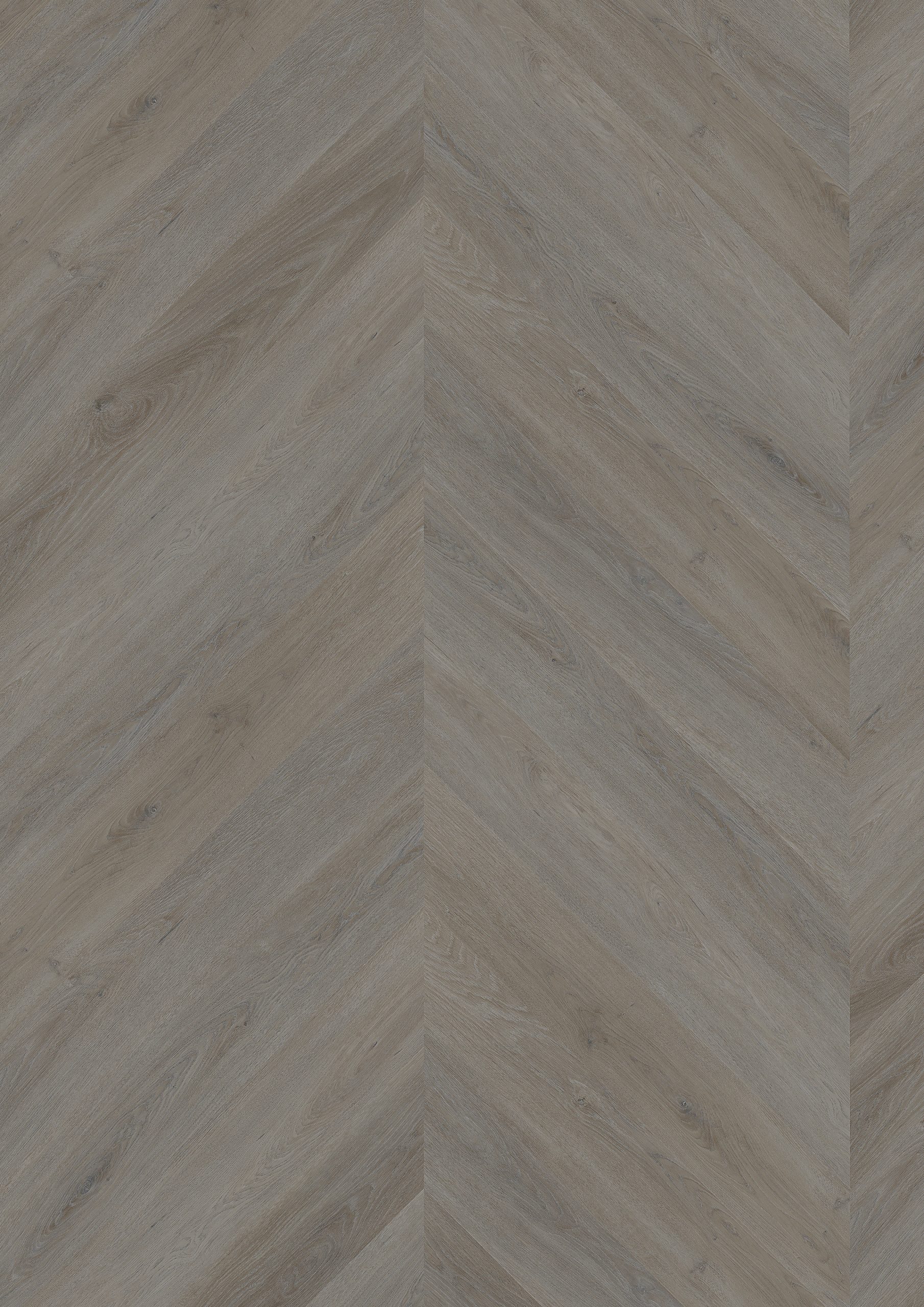 English Oak Taupe